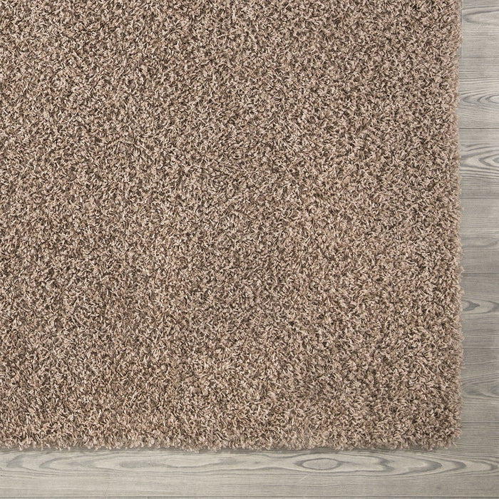 Shaggy Plain Beige Rug