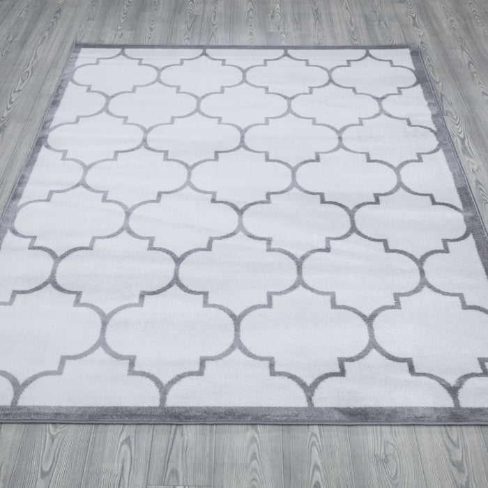 Trendy Border Trellis Rug V3 - White